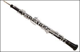 Quel est cet instrument de musique ?