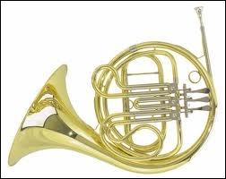 Quel est cet instrument de musique ?