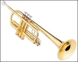 Quel est cet instrument de musique ?