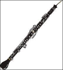 Quel est cet instrument de musique ?