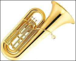 Quel est cet instrument de musique ?