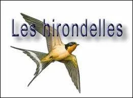 L'hirondelle migre...