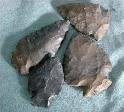 Science : Quel mot est utilis pour dsigner une pierre  briquet, une pierre  fusil, ou une pierre  feu ?