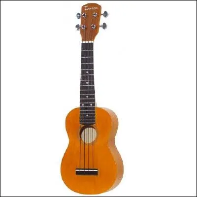 Comment se nomme cet instrument traditionnel des les d'Hawa ?