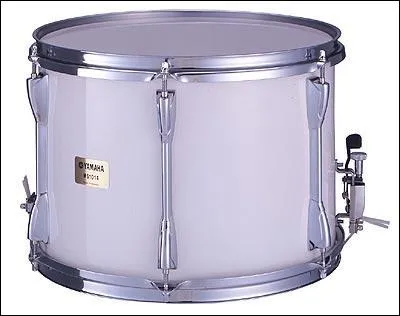 Cet instrument comportant un ft sur lequel sont tendues une ou plusieurs peaux est appel :