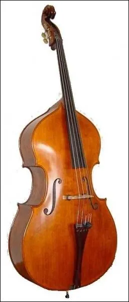 On peut jouer de cet instrument avec un archet ou simplement avec les doigts, c'est un(e) :