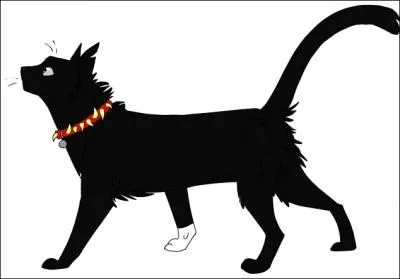 Qui est ce chat ? (Clan du Sang)