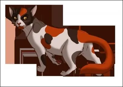 Qui est ce chat ? (Clan du Tonnerre)