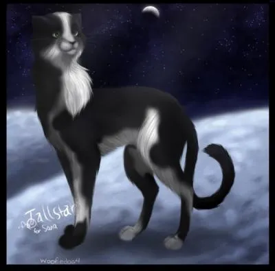 Qui est ce chat ? (Clan du Vent)