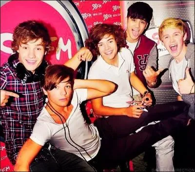 Lequel des boys appelle-t-on   Daddy Direction   ?