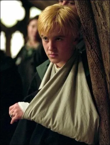 Lorsque Drago s'est fait attaquer par Buck, que dit-il  Hagrid ?