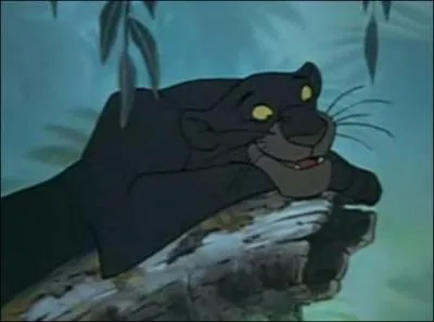 Bagheera ?