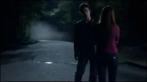 Pourquoi Damon fait-il oublier  Elena leur premire rencontre ?