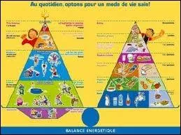 Parmi les constituants essentiels des aliments, quels sont ceux qui fournissent l'nergie (le carburant) ncessaire au fonctionnement des cellules ?