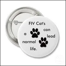 Que signifie le sigle : FIV ?