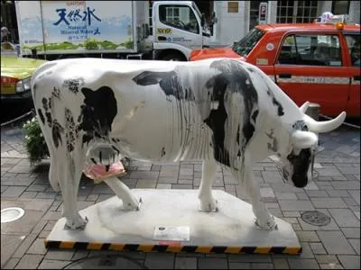 Comment s'appelle cet oiseau d'Argentine qui vit en bandes nombreuses,  proximit des troupeaux ?