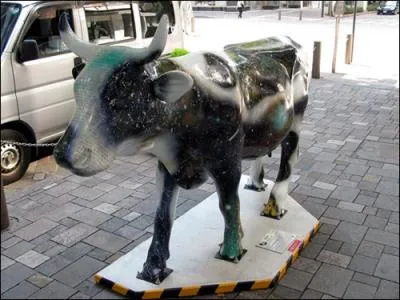 Et comment s'appelle la vache en question ?