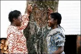 Spielberg fait sortir les mouchoirs avec cette histoire de deux soeurs arraches l'une  l'autre. Clie et Nettie mettront presqu'une vie  se retrouver.