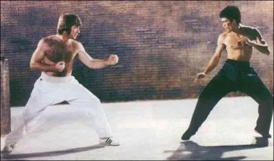  Un peu de culture gnrale (2)   : Chuck Norris et Bruce Lee sont runis dans l'un de ces films. Mais lequel ?