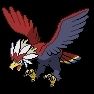 Quiz Oiseaux