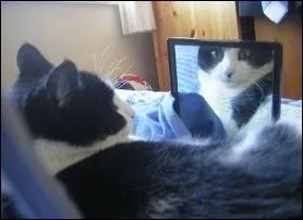 Quelle peinture d'Anton Einsle est ici imite ?