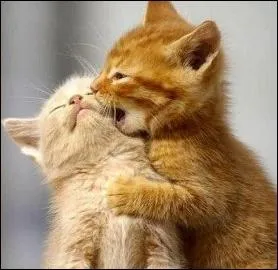 Quelle peinture de Ford Madox Brown est ici imite ?