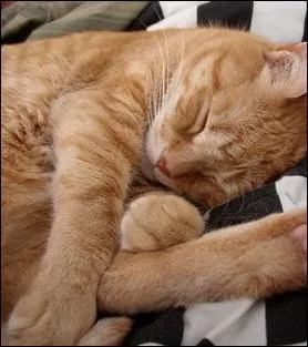 Quelle peinture de Frederic Leighton est ici imite ?