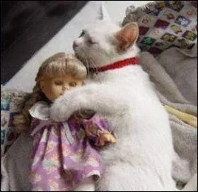 Quelle peinture de George Benjamin Luks est ici imite ?