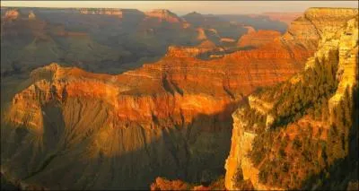 Quel oiseau peut survoler des montagnes europennes !