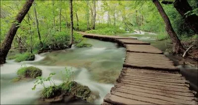 Silencieusement, en avanant doucement le long de cette rivire serbe, vous pourrez peut-tre l'apercevoir !