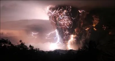 Fort thalandaise, fuyant l'orage , un ... . . vient s'y rfugier dans les branches !