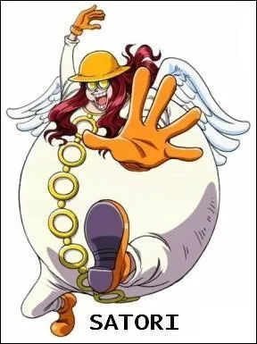 Comment appelle-t-on le fluide sensitif sur Skypiea ?