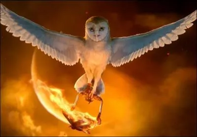 A quoi servit cette huile enflamme que tient cette chouette ?