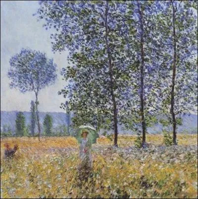   Sous les peupliers, effets de soleil   :