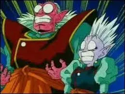 Pour quelle raison Kaio Shin et son bras droit font-ils cette tte ?