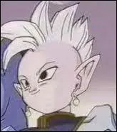 Kaio Shin fait partie de la confrrie des dieux, ils sont 5 Kaio Shin en tout. Qui est donc le Kaio Shin de cette photo ?