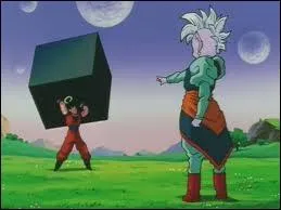 Comment s'appelle le mtal que Kaio Shin lance  Sangoku ?