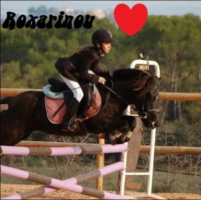 Pour abordez un obstacle situ  la lettre  E  :