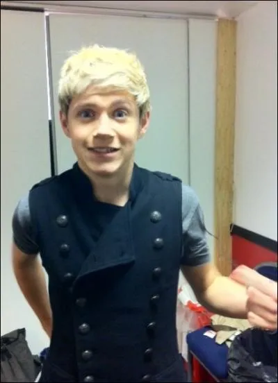 Niall adore une seule chose :