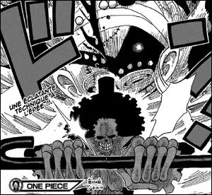 Quel est le nom de cette technique ?