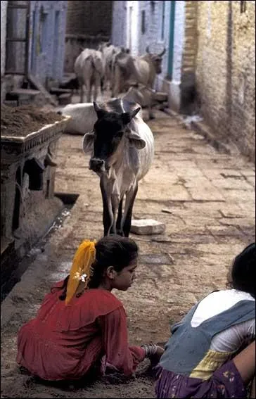 Dans cet immense pays, on parle l'hindi !