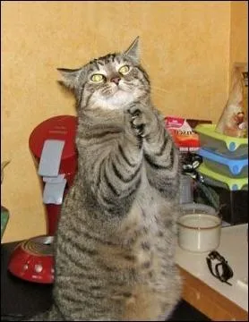 Quelle peinture de Guido Reni est ici imite ?