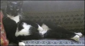 Quelle peinture de Jean-Auguste-Dominique Ingres est ici imite ?