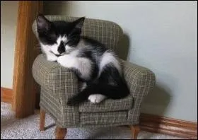 Quelle peinture de John Singer Sargent est ici imite ?