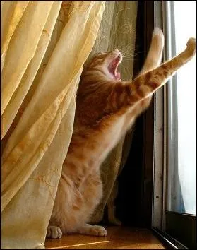 Quelle peinture de Joseph Ducreux est ici imite ?