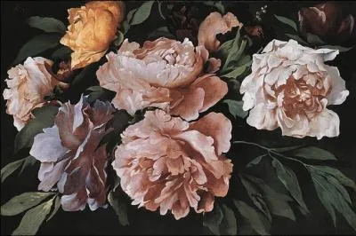 Pivoines, 1871