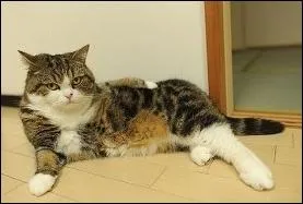 Quelle peinture de est ici imite ?