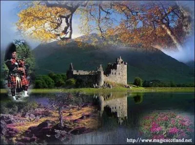 Terminons ce bouquet de fleurs par celle qui pousse dans les Highlands et que chantent les Écossais avec entrain. La ''Flower of Scotland'' est...