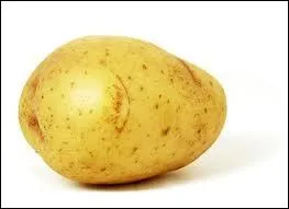 Une pomme de terre :