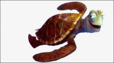 Dans quel dessin anim retrouve-t-on Crush ?